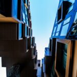 _DSC03513