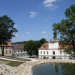 ginger_stavba_roku (10)