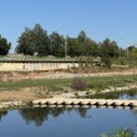 20250819_081033129_iOS