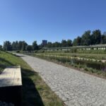 20250819_082404926_iOS