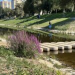 20250819_085010411_iOS