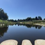 20250819_090815201_iOS