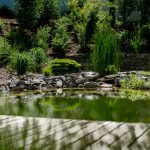 WD_foto_web_111